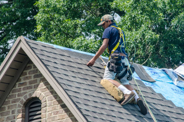 Best Emergency Roof Repair  in Pembroke, GA